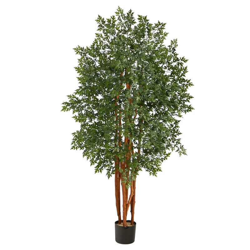 hubert3566807